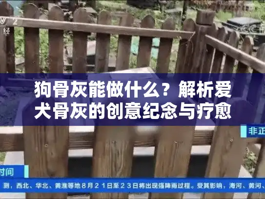 狗骨灰能做什么？解析爱犬骨灰的创意纪念与疗愈用途