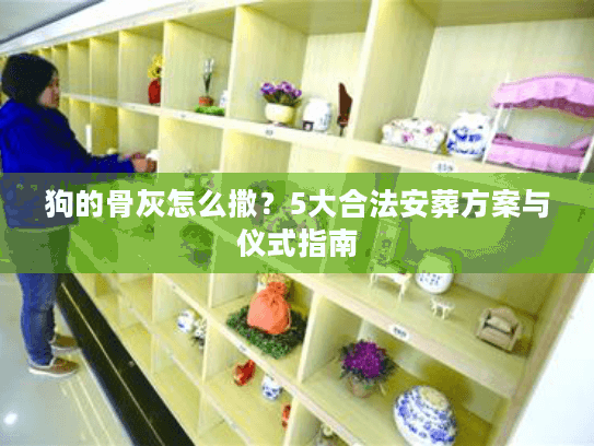 狗的骨灰怎么撒？5大合法安葬方案与仪式指南