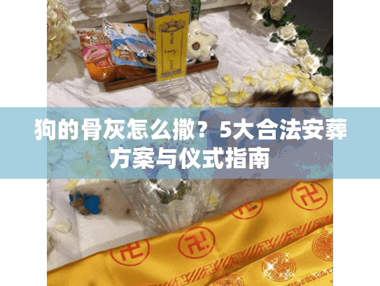 狗的骨灰怎么撒？5大合法安葬方案与仪式指南