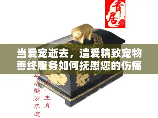 当爱宠逝去,遗爱精致宠物善终服务如何抚慰您的伤痛? 当爱宠逝去,遗爱精致宠物善终服务如何抚慰您的伤痛?