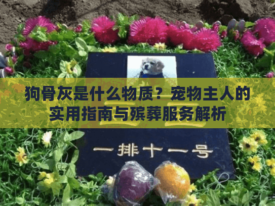 狗骨灰是什么物质？宠物主人的实用指南与殡葬服务解析