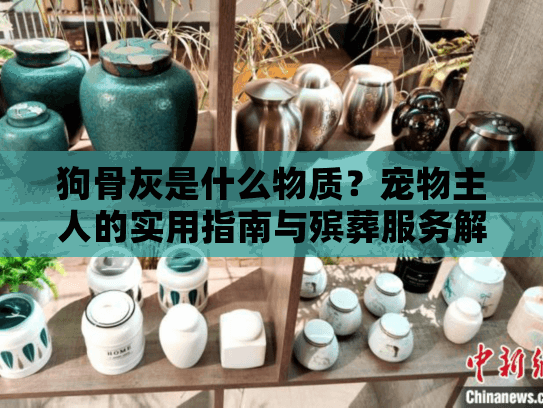 狗骨灰是什么物质？宠物主人的实用指南与殡葬服务解析