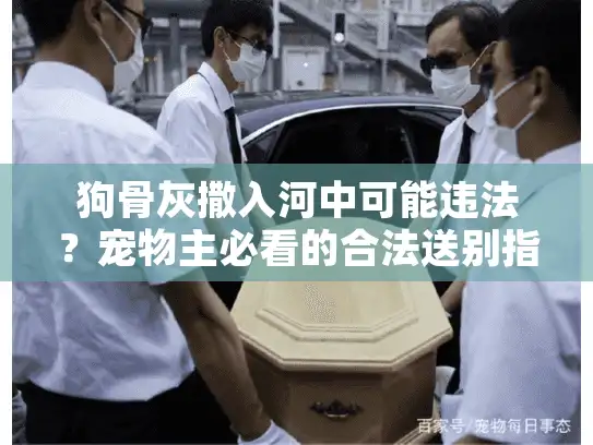 狗骨灰撒入河中可能违法？宠物主必看的合法送别指南