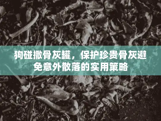 狗碰撒骨灰罐，保护珍贵骨灰避免意外散落的实用策略