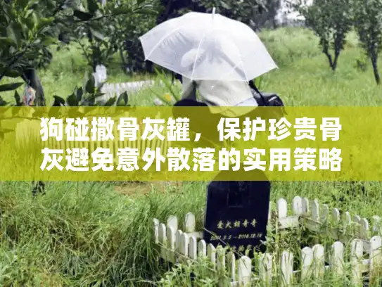 狗碰撒骨灰罐，保护珍贵骨灰避免意外散落的实用策略