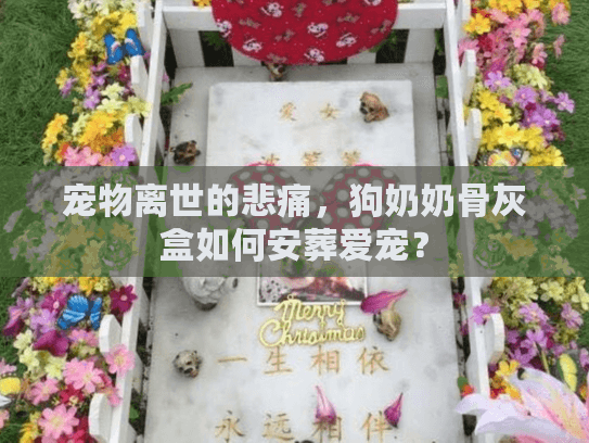 宠物离世的悲痛,狗奶奶骨灰盒如何安葬爱宠? 宠物离世的悲痛,狗奶奶骨灰盒如何安葬爱宠?