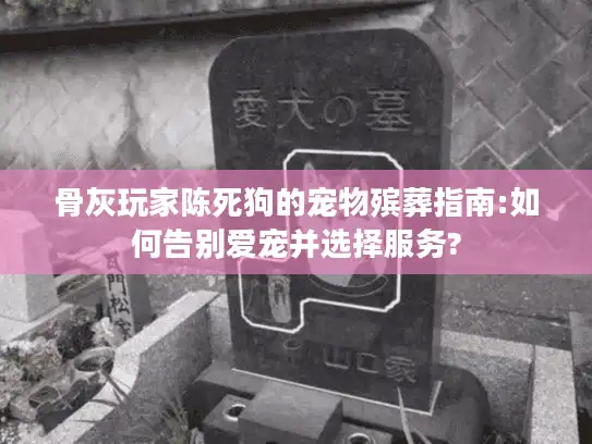 骨灰玩家陈死狗的宠物殡葬指南:如何告别爱宠并选择服务?