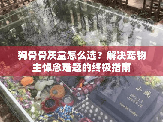 狗骨骨灰盒怎么选？解决宠物主悼念难题的终极指南