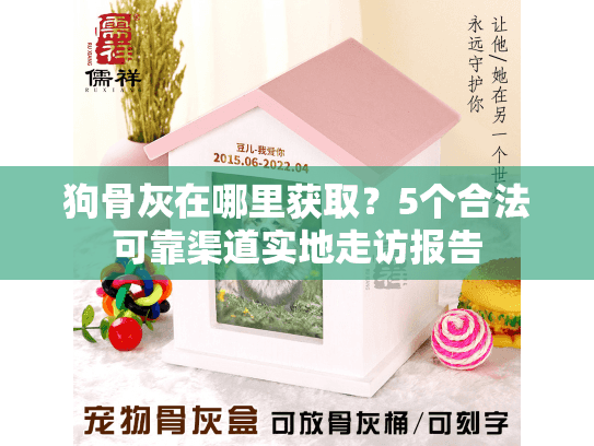狗骨灰在哪里获取？5个合法可靠渠道实地走访报告
