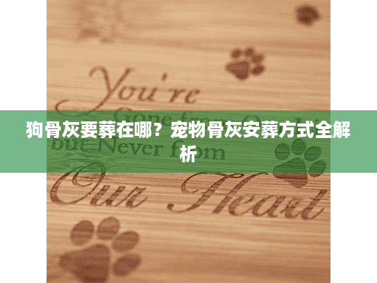 狗骨灰要葬在哪？宠物骨灰安葬方式全解析