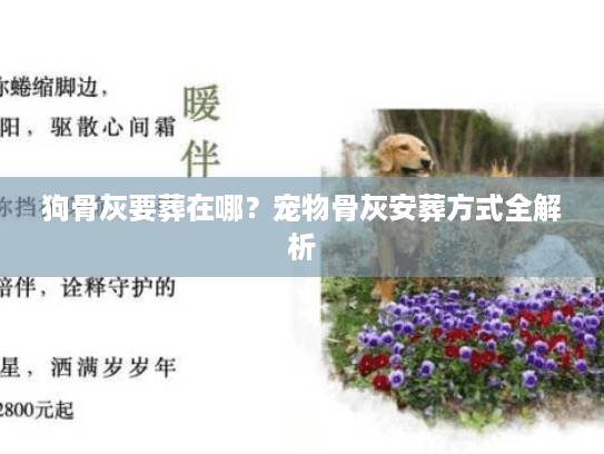 狗骨灰要葬在哪？宠物骨灰安葬方式全解析