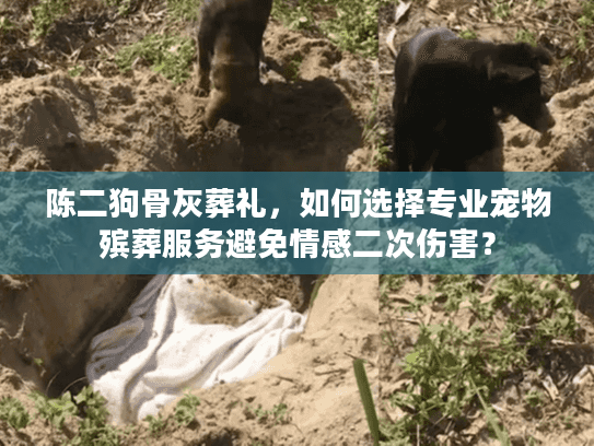 陈二狗骨灰葬礼,如何选择专业宠物殡葬服务避免情感二次伤害? 陈二狗骨灰葬礼,如何选择专业宠物殡葬服务避免情感二次伤害?