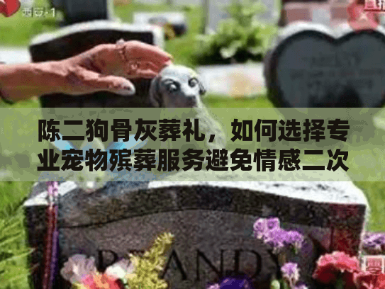 陈二狗骨灰葬礼,如何选择专业宠物殡葬服务避免情感二次伤害? 陈二狗骨灰葬礼,如何选择专业宠物殡葬服务避免情感二次伤害?