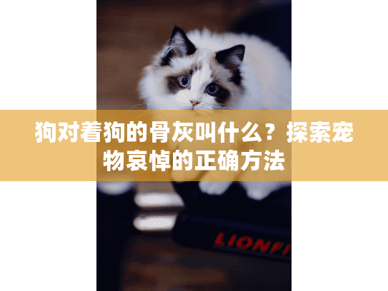 狗对着狗的骨灰叫什么?探索宠物哀悼的正确方法 狗对着狗的骨灰叫什么?探索宠物哀悼的正确方法