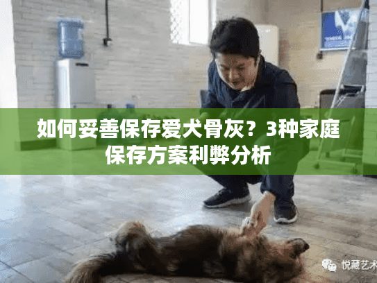 如何妥善保存爱犬骨灰?3种家庭保存方案利弊分析 如何妥善保存爱犬骨灰?3种家庭保存方案利弊分析