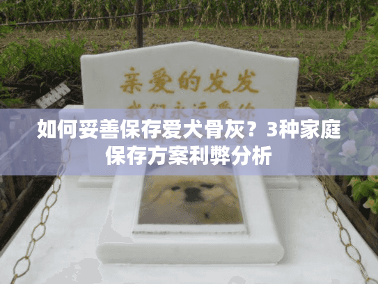 如何妥善保存爱犬骨灰?3种家庭保存方案利弊分析 如何妥善保存爱犬骨灰?3种家庭保存方案利弊分析