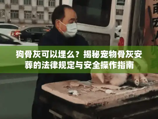 狗骨灰可以埋么?揭秘宠物骨灰安葬的法律规定与安全操作指南 狗骨灰可以埋么?揭秘宠物骨灰安葬的法律规定与安全操作指南