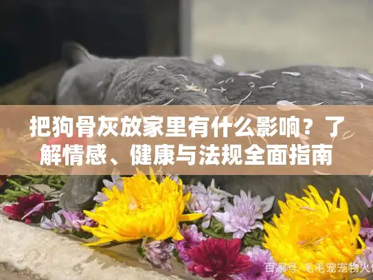 把狗骨灰放家里有什么影响？了解情感、健康与法规全面指南
