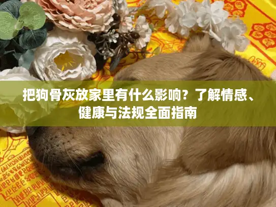 把狗骨灰放家里有什么影响？了解情感、健康与法规全面指南