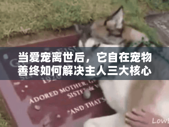 当爱宠离世后，它自在宠物善终如何解决主人三大核心焦虑？