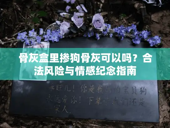 骨灰盒里掺狗骨灰可以吗?合法风险与情感纪念指南 骨灰盒里掺狗骨灰可以吗?合法风险与情感纪念指南
