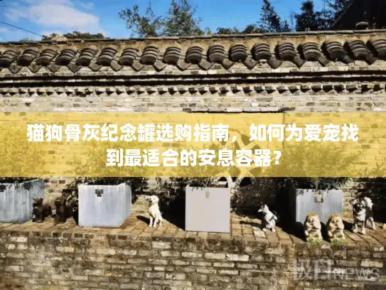 猫狗骨灰纪念罐选购指南，如何为爱宠找到最适合的安息容器？