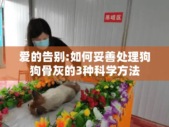 爱的告别:如何妥善处理狗狗骨灰的3种科学方法 爱的告别:如何妥善处理狗狗骨灰的3种科学方法