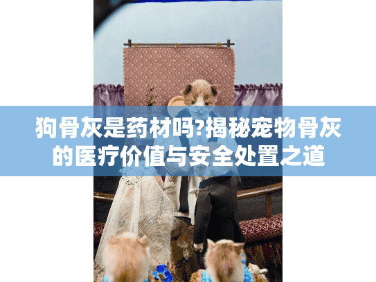 狗骨灰是药材吗?揭秘宠物骨灰的医疗价值与安全处置之道