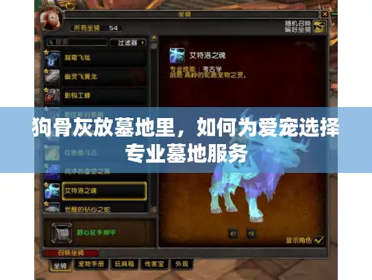 狗骨灰放墓地里，如何为爱宠选择专业墓地服务