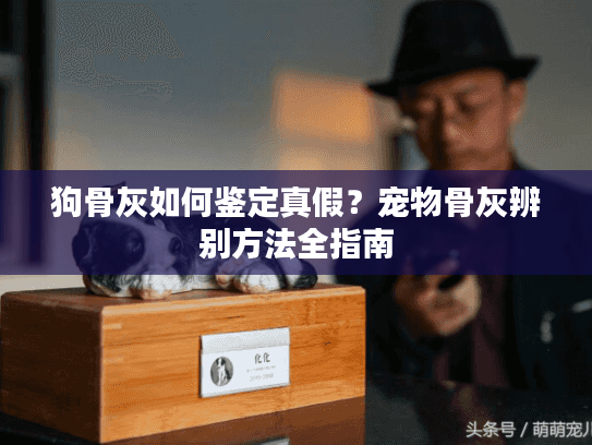 狗骨灰如何鉴定真假?宠物骨灰辨别方法全指南 狗骨灰如何鉴定真假?宠物骨灰辨别方法全指南