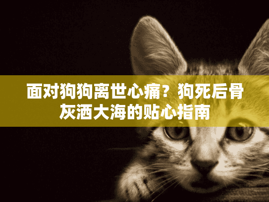 面对狗狗离世心痛？狗死后骨灰洒大海的贴心指南