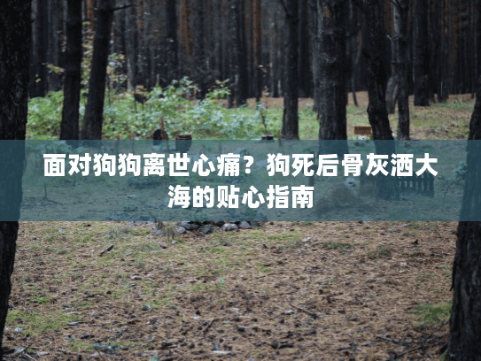 面对狗狗离世心痛？狗死后骨灰洒大海的贴心指南