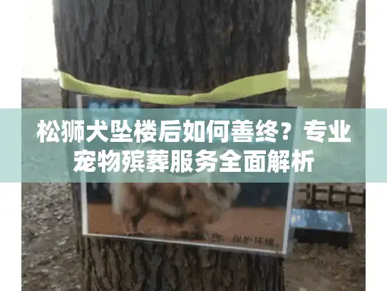 松狮犬坠楼后如何善终？专业宠物殡葬服务全面解析