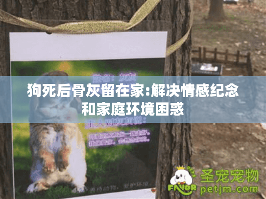 狗死后骨灰留在家:解决情感纪念和家庭环境困惑