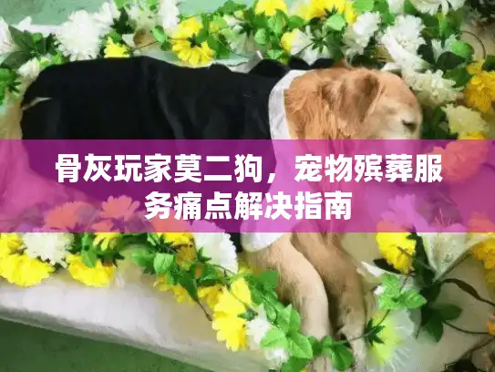 骨灰玩家莫二狗，宠物殡葬服务痛点解决指南