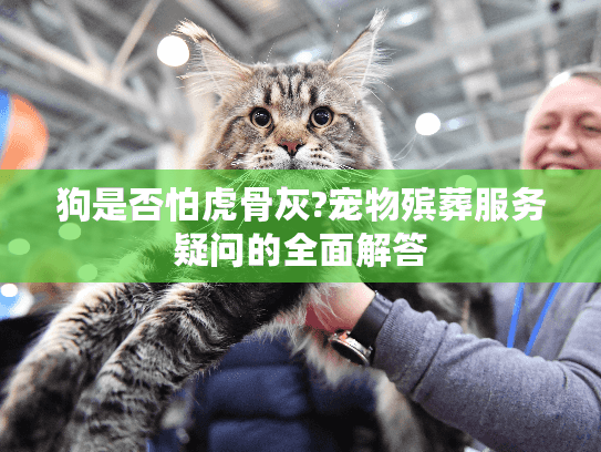 狗是否怕虎骨灰?宠物殡葬服务疑问的全面解答