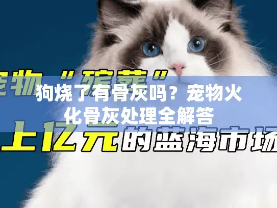 狗烧了有骨灰吗？宠物火化骨灰处理全解答