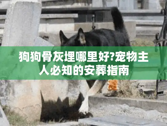 狗狗骨灰埋哪里好?宠物主人必知的安葬指南