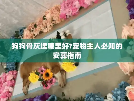 狗狗骨灰埋哪里好?宠物主人必知的安葬指南