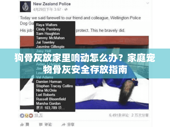 狗骨灰放家里响动怎么办？家庭宠物骨灰安全存放指南