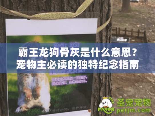 霸王龙狗骨灰是什么意思？宠物主必读的独特纪念指南