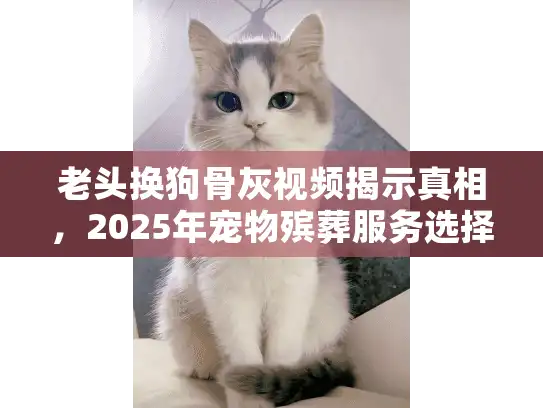 老头换狗骨灰视频揭示真相，2025年宠物殡葬服务选择避坑指南