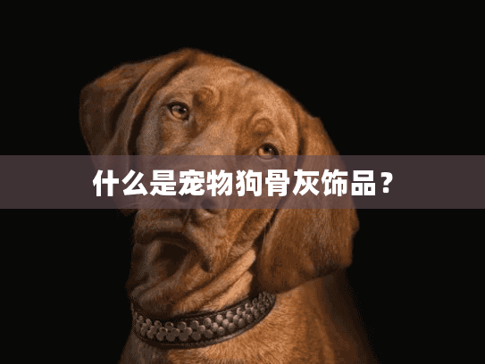 什么是宠物狗骨灰饰品？