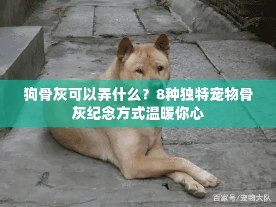狗骨灰可以弄什么?8种独特宠物骨灰纪念方式温暖你心 狗骨灰可以弄什么?8种独特宠物骨灰纪念方式温暖你心