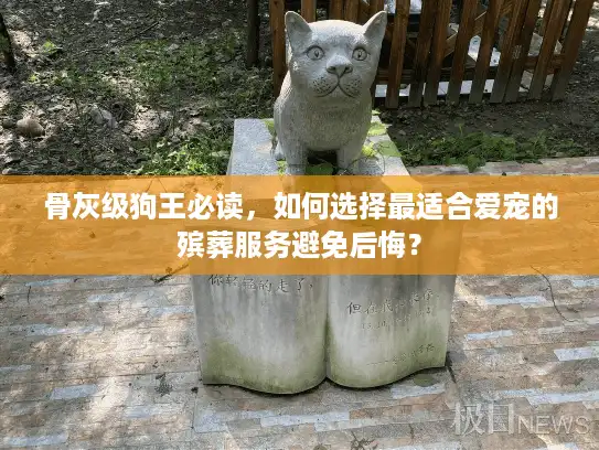 骨灰级狗王必读，如何选择最适合爱宠的殡葬服务避免后悔？