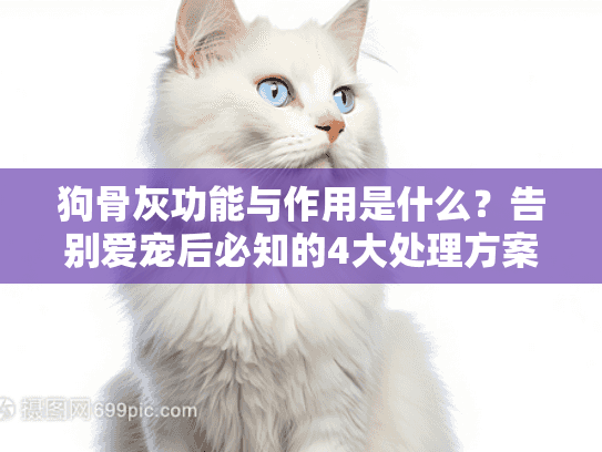 狗骨灰功能与作用是什么？告别爱宠后必知的4大处理方案