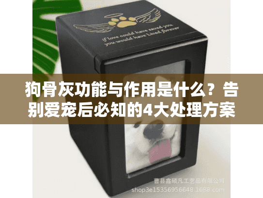 狗骨灰功能与作用是什么？告别爱宠后必知的4大处理方案