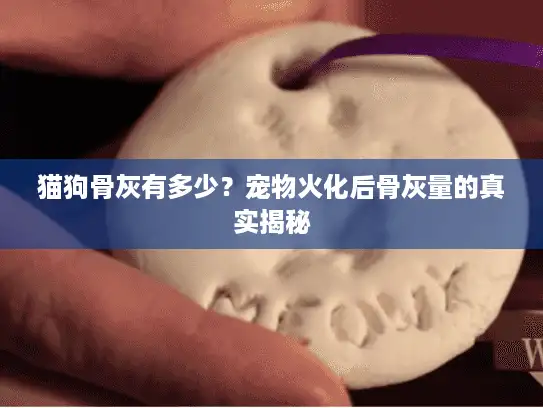 猫狗骨灰有多少?宠物火化后骨灰量的真实揭秘 猫狗骨灰有多少?宠物火化后骨灰量的真实揭秘