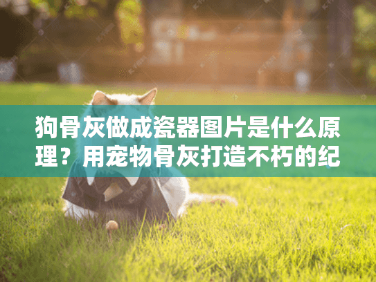 狗骨灰做成瓷器图片是什么原理？用宠物骨灰打造不朽的纪念瓷盘