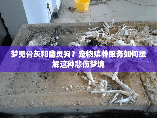 梦见骨灰和幽灵狗？宠物殡葬服务如何缓解这种悲伤梦境